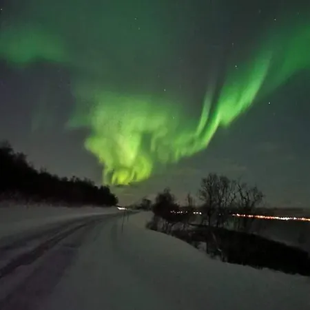 Aurora In Shared Hsuse Nr3 We Are Doing Northen Lights Trip, Reaindear Trip And Sommaroy Fjord Trips * Tromsø