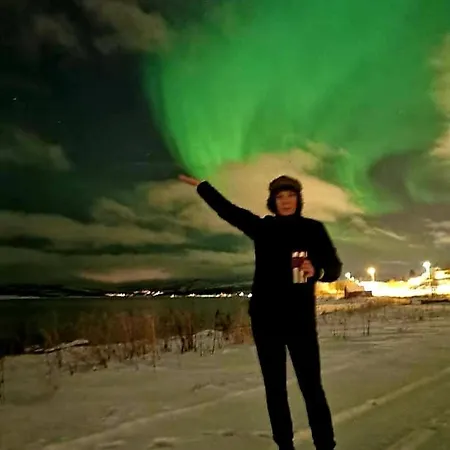 Aurora In Shared Hsuse Nr3 We Are Doing Northen Lights Trip, Reaindear Trip And Sommaroy Fjord Trips * Tromsø