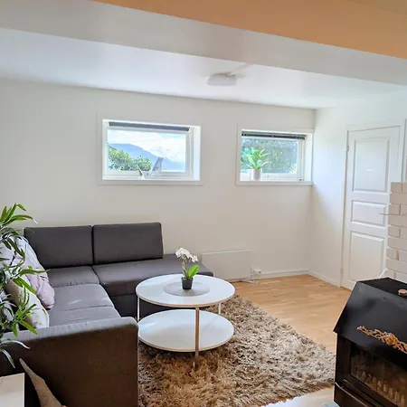 Aurora In Shared Hause Nr3 We Are Doing Northen Lights Trip, Reaindear Trip And Sommaroy Fjord Trips