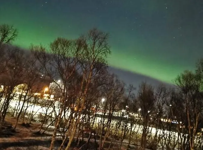 Aurora In Shared Hause Nr3 We Are Doing Northen Lights Trip, Reaindear Trip And Sommaroy Fjord Trips Tromsø