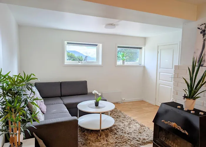 Aurora In Shared Hause Nr3 We Are Doing Northen Lights Trip, Reaindear Trip And Sommaroy Fjord Trips