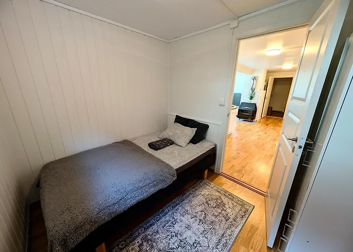 Aurora In Shared Hause Nr3 We Are Doing Northen Lights Trip, Reaindear Trip And Sommaroy Fjord Trips Gasthuis